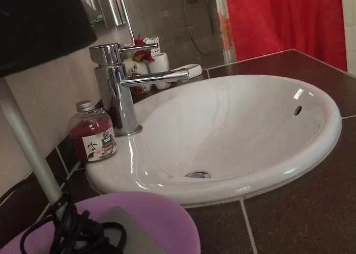 Flower 招待所 特拉尼