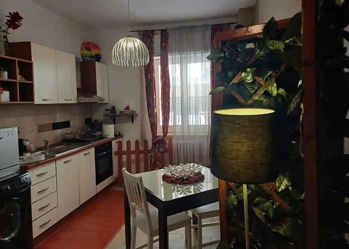 Flower 招待所 特拉尼